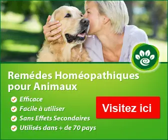 Banniere homeoanimo